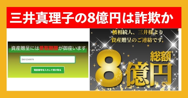三井真理子の8億円贈呈は詐欺か調査