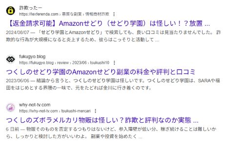 つくしのズボラメルカリ物販は詐欺か