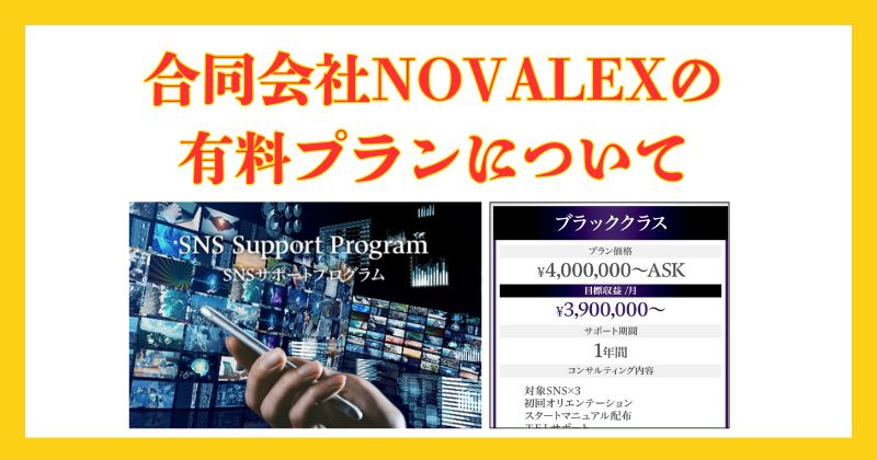 合同会社novalexの副業は詐欺か