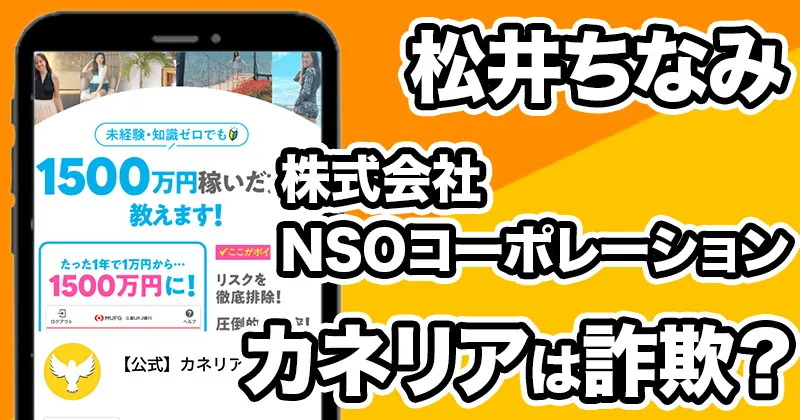 カネリアは詐欺か調査‼️副業?投資?【松井ちなみ・株式会社NSOコーポレーション】