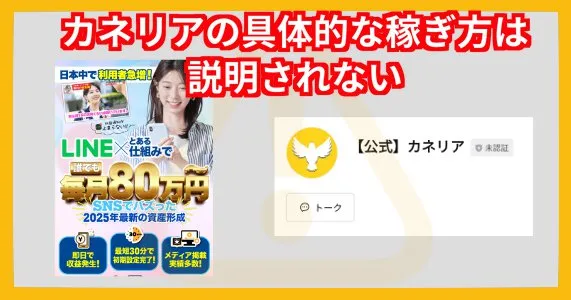 カネリアの副業について怪しい点を調査