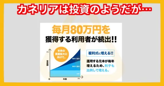 カネリアの副業ではなく投資のようだが怪しい点が多い