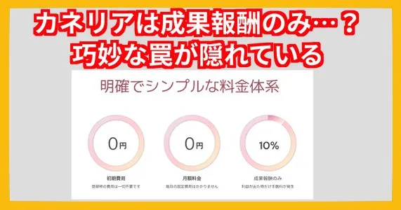 株式会社NSOコーポレーションの副業「カネリア」の参加料金