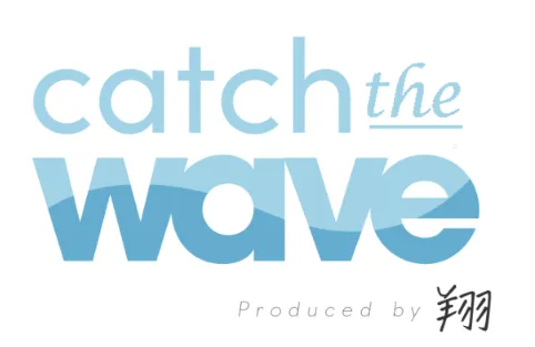 水島翔のFX投資の注意点②Catch the Waveという高額なツール